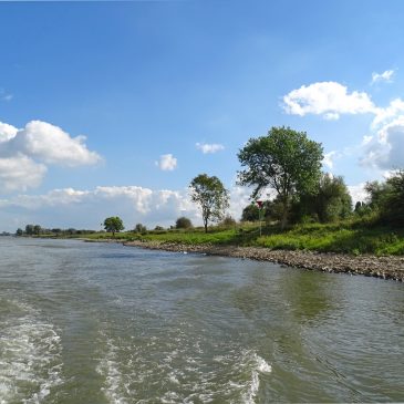 Duursche Waarden (IJsselvallei)